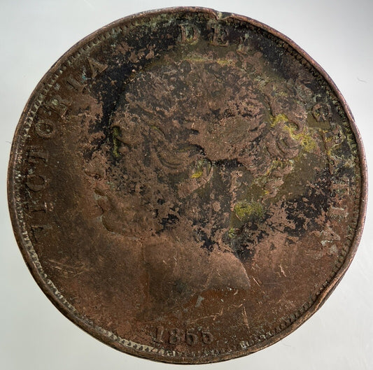 1855 Victoria One Penny Coin | Collectable Grade