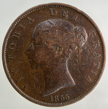 1855 Victoria Half-Penny Coin | Collectable Grade