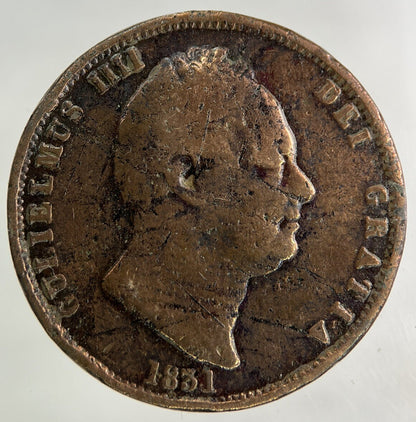 1831 William IV Half-Penny Coin | Collectable Grade
