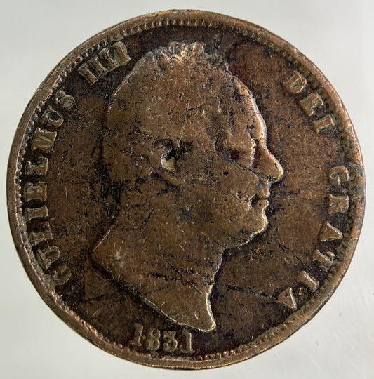 1831 William IV Half-Penny Coin | Collectable Grade