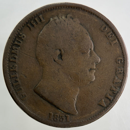1831 William IV Half-Penny Coin | Collectable Grade