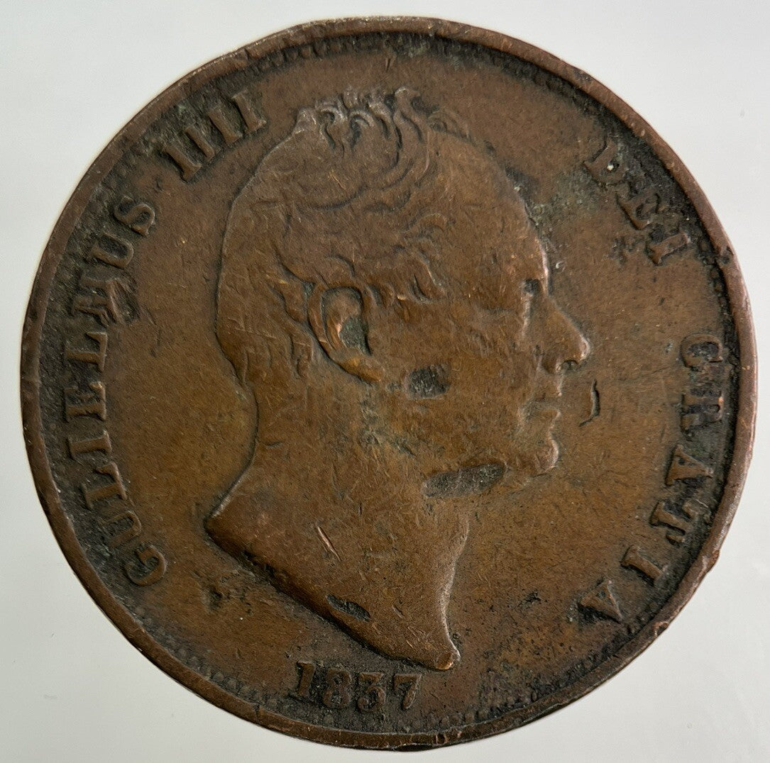 1837 William IV Half-Penny Coin | Fine Collectable Grade