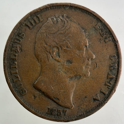 1837 William IV Half-Penny Coin | Fine Collectable Grade