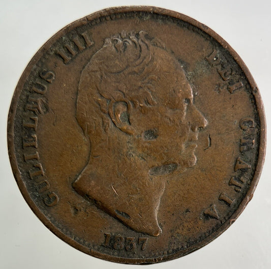 1837 William IV Half-Penny Coin | Fine Collectable Grade
