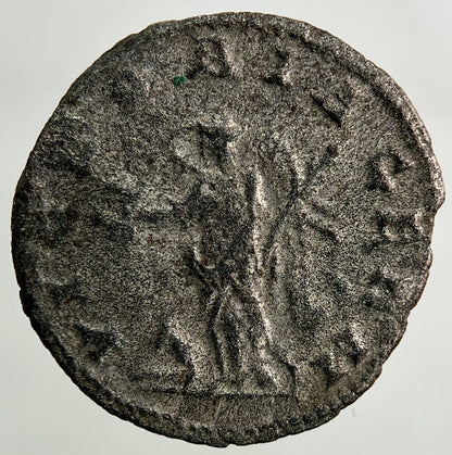 Ancient Roman Denarius Silver Coin | Collectable Grade