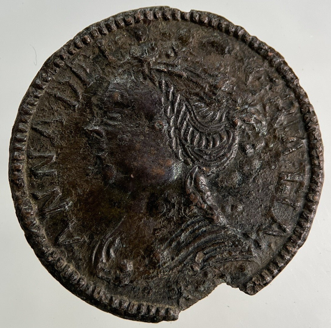 Old British Anne Forgery Spade Guinea Coin | Fine Collectable Grade