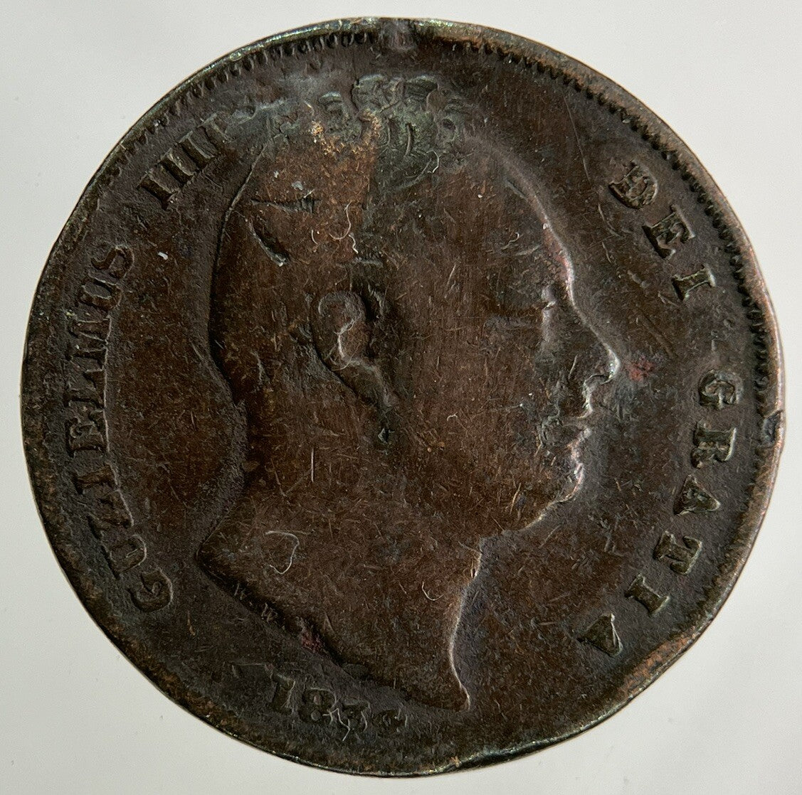 1834 William IV Farthing Coin | Collectable Grade