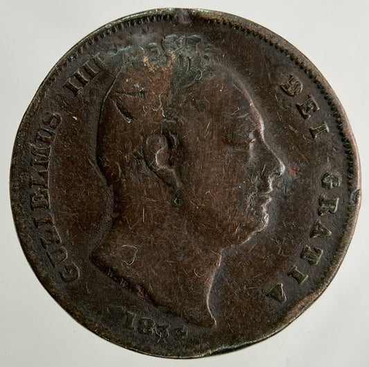 1834 William IV Farthing Coin | Collectable Grade