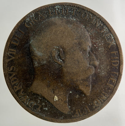 1903 Edward VII Half-Penny Coin | Fair Grade