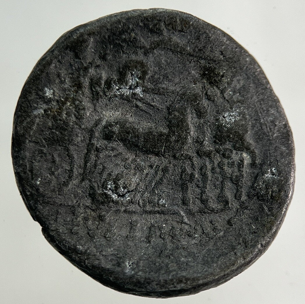 Ancient Roman Chariot Denarius Coin | Collectable Grade