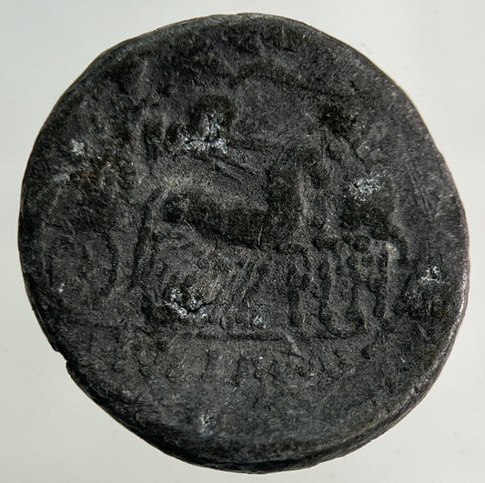 Ancient Roman Chariot Denarius Coin | Collectable Grade