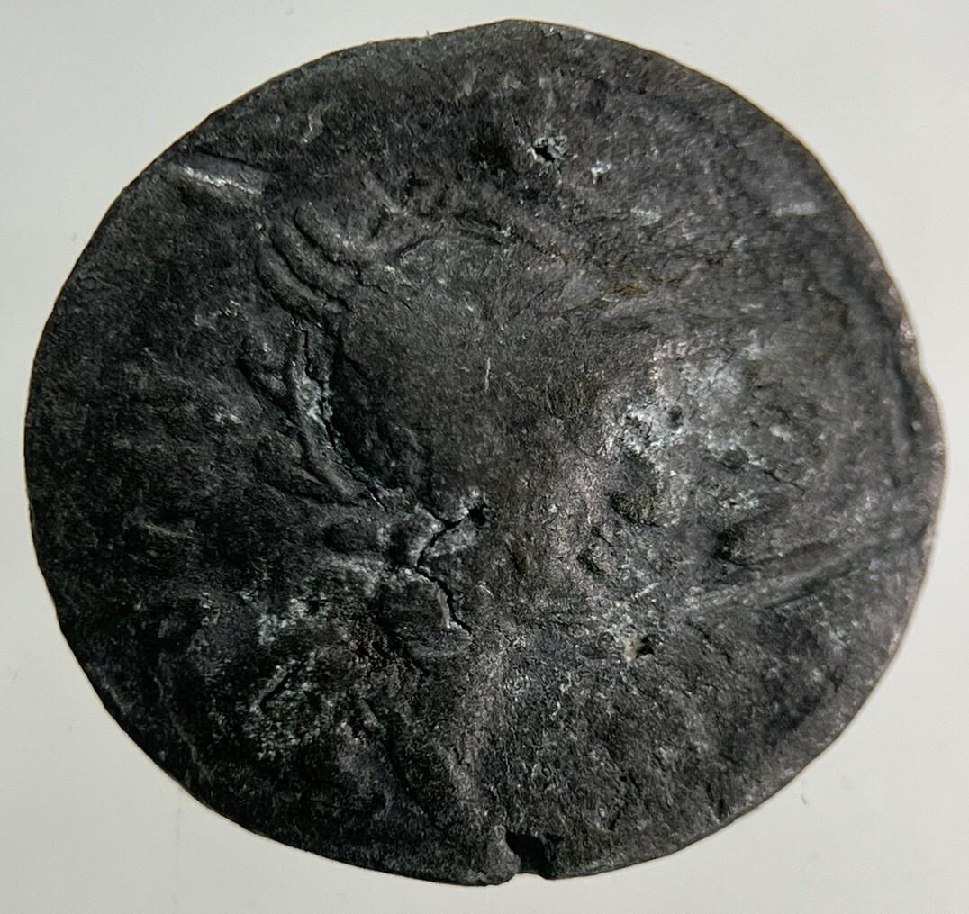 Ancient Roman Chariot Denarius Coin | Collectable Grade