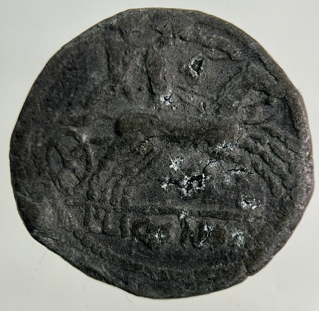 Ancient Roman Chariot Denarius Coin | Collectable Grade