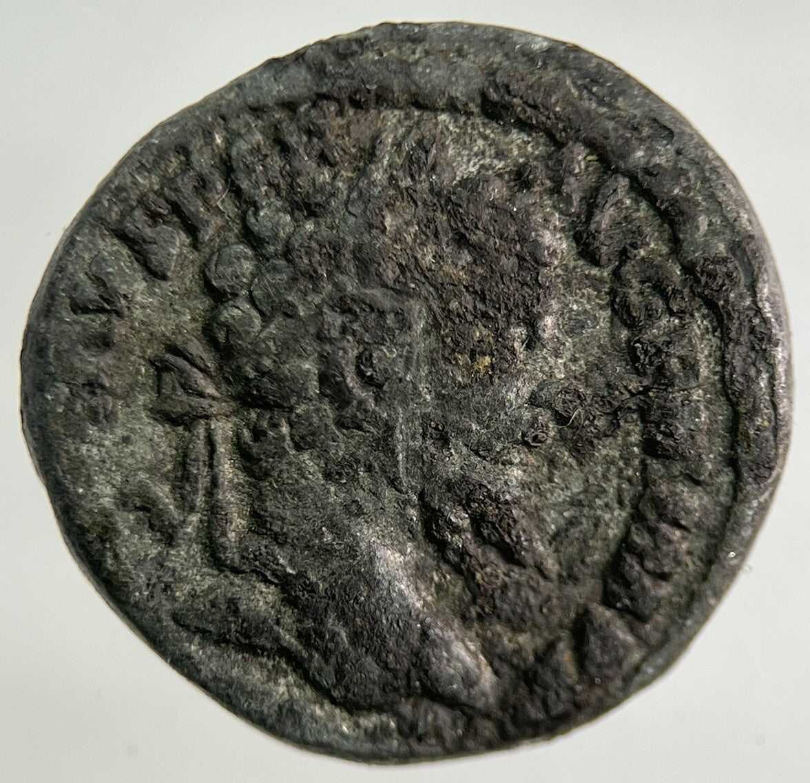 Ancient Roman Silver Denarius Coin | Collectable Grade