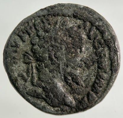 Ancient Roman Silver Denarius Coin | Collectable Grade