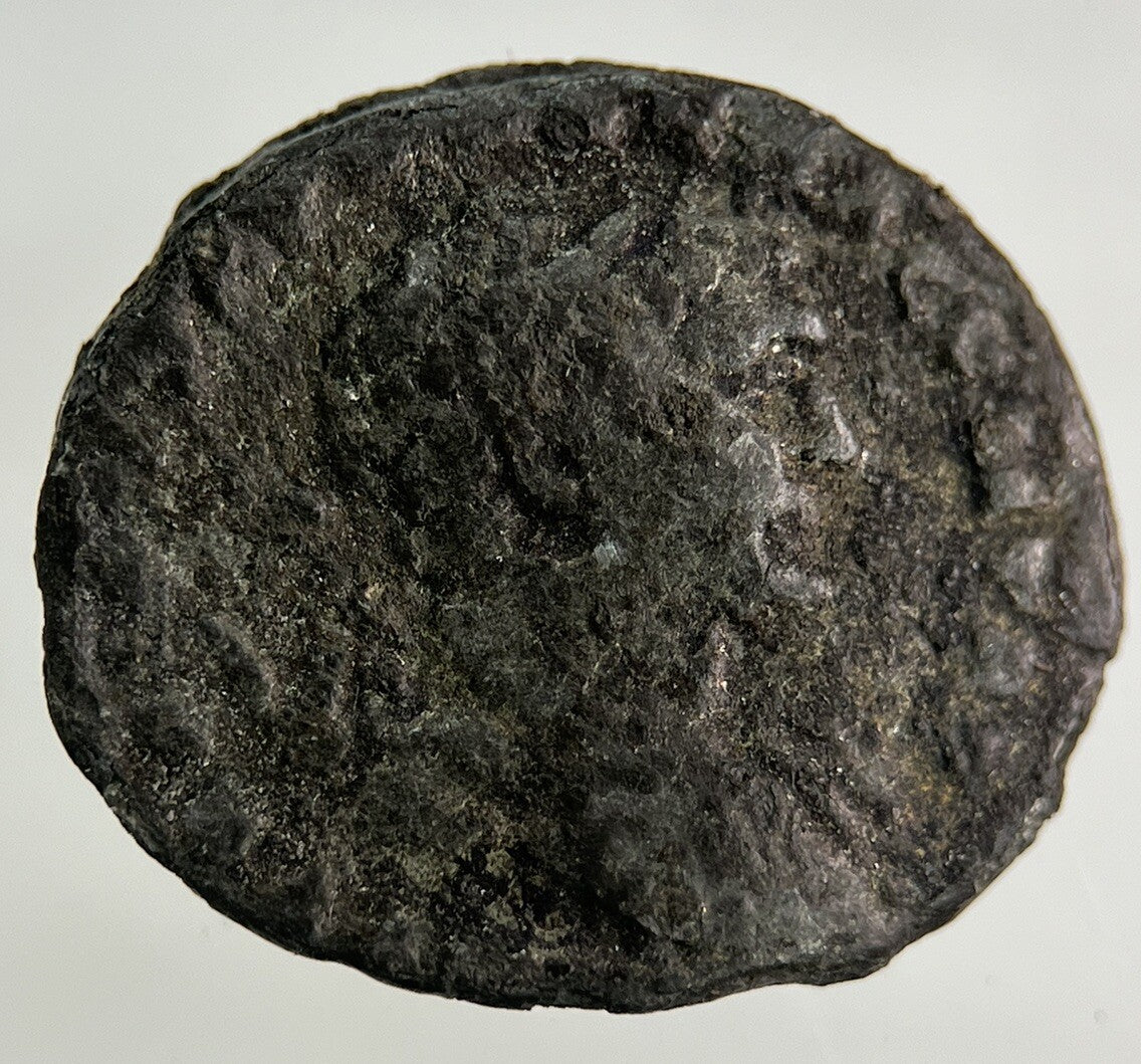 Ancient Roman Silver Denarius Coin | Collectable Grade