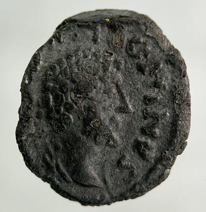 Ancient Roman Silver Denarius Coin | Collectable Grade