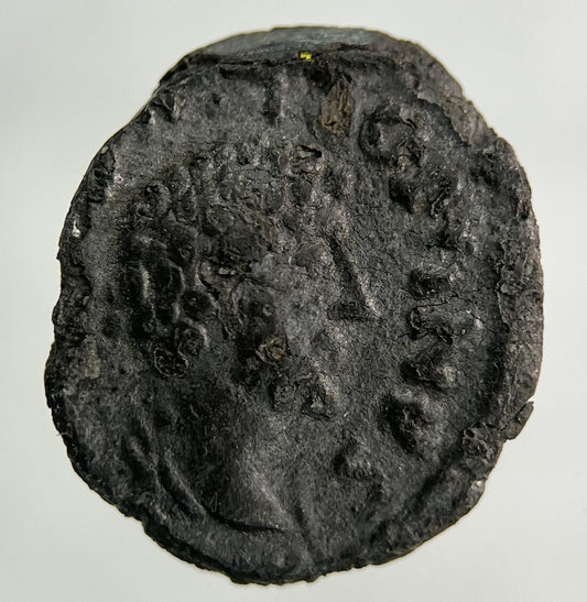 Ancient Roman Silver Denarius Coin | Collectable Grade