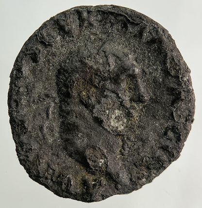 Ancient Roman Silver Denarius Coin | Collectable Grade