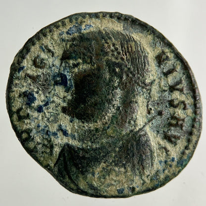 Ancient Roman Denarius Bronze Coin | Collectable Grade