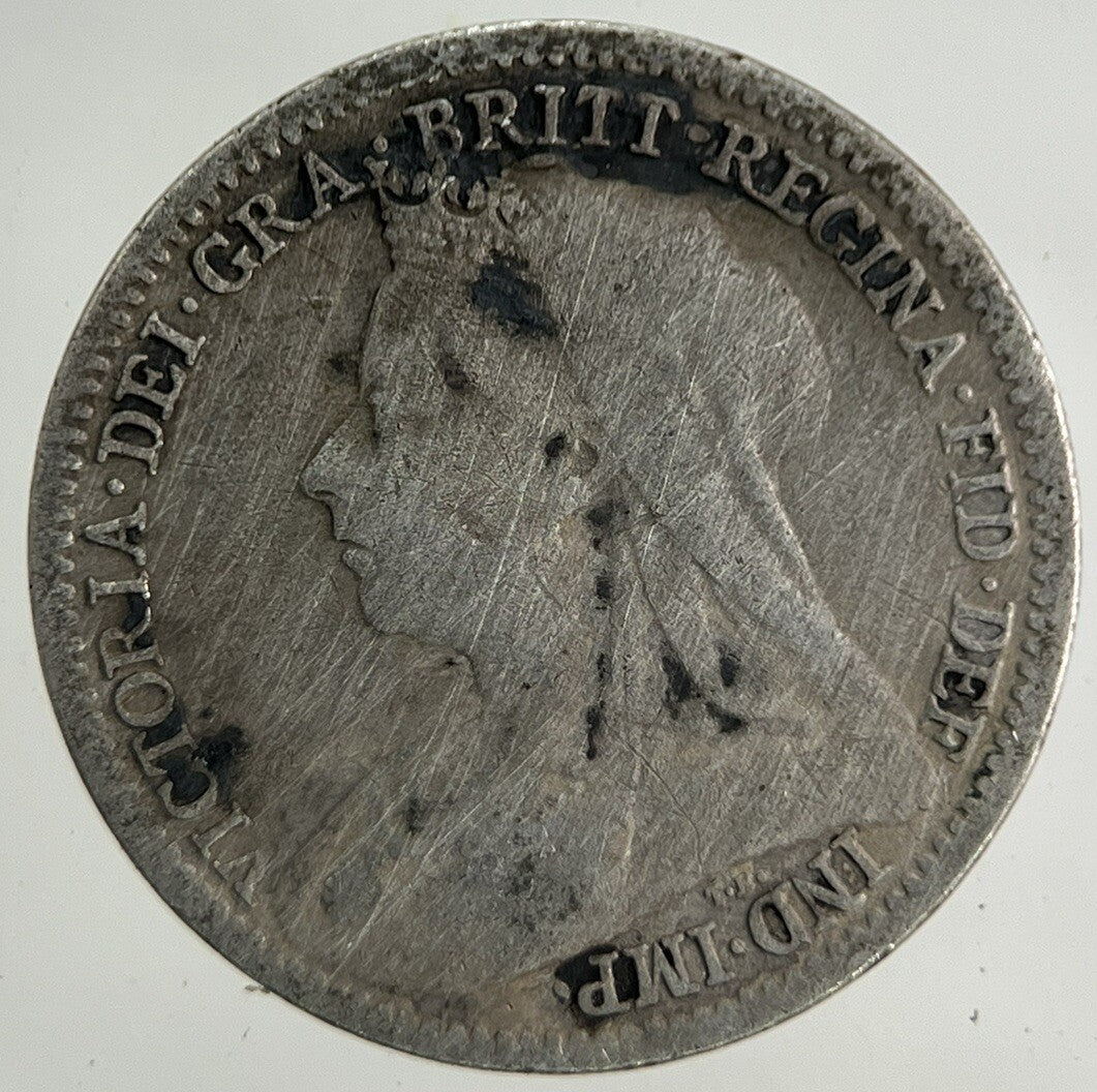 1901 Victoria Threepence Silver Coin | Collectable Grade