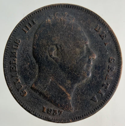 1837 William IV Farthing Coin | Collectable Grade