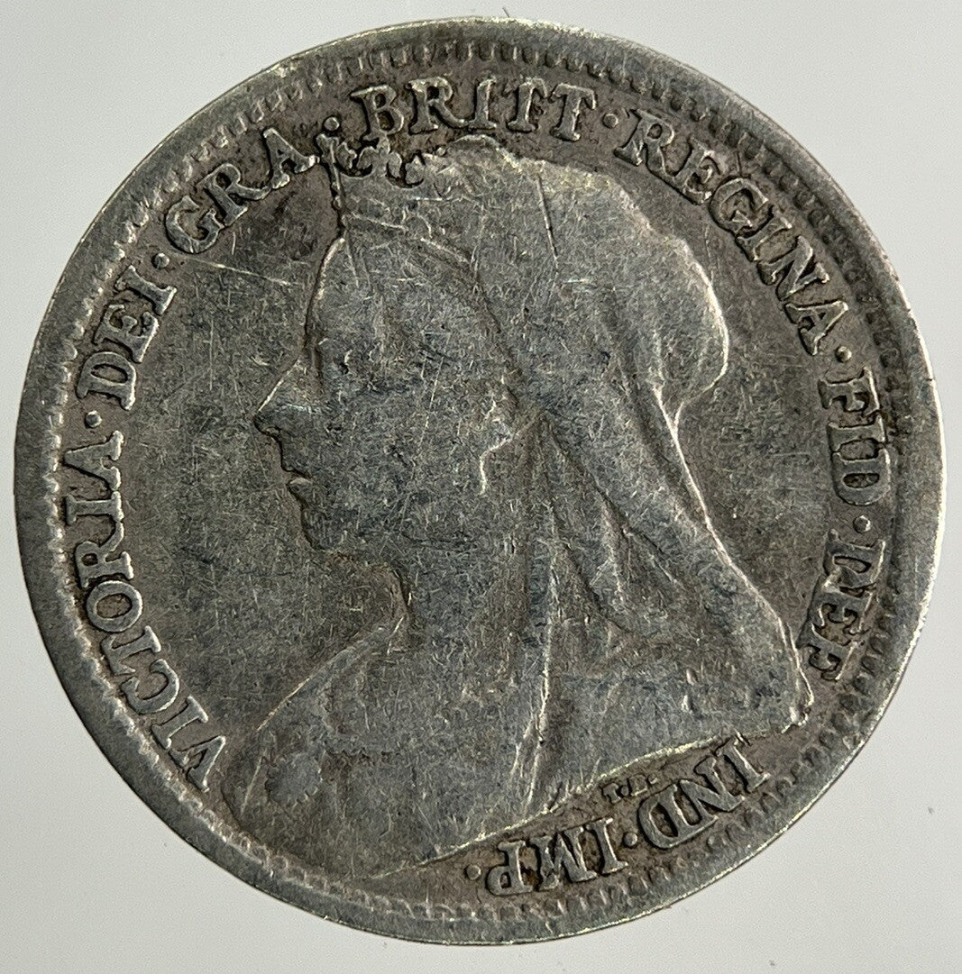 1895 Victoria Threepence Silver Coin | Collectable Grade