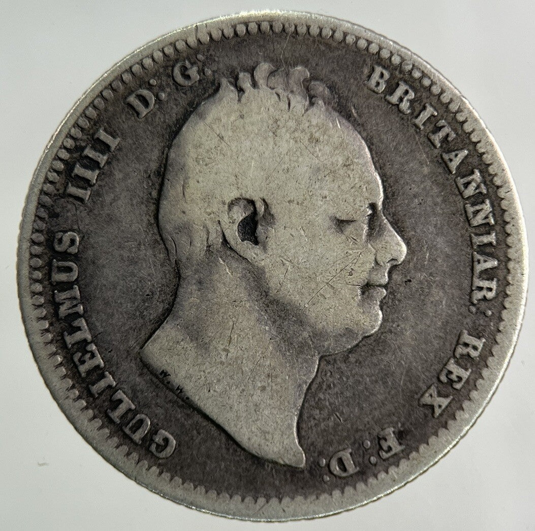 1834 William IV Shilling Silver Coin | Fine Collectable Grade