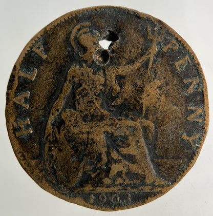 1903 Edward VII Half-Penny Coin | Collectable Grade