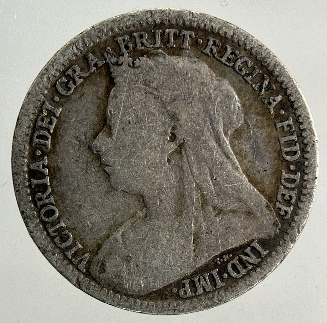 1900 Victoria Threepence Silver Coin | Collectable Grade