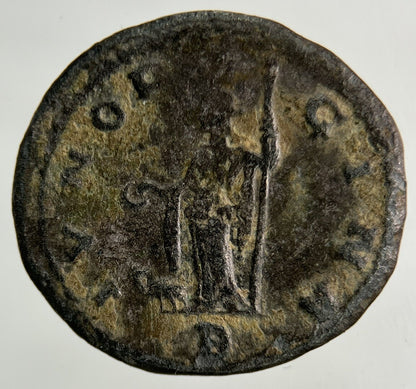 Ancient Roman Denarius Silver Coin | Collectable Grade