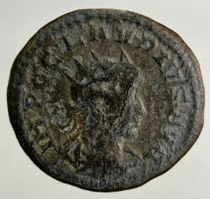 Ancient Roman Denarius Silver Coin | Collectable Grade