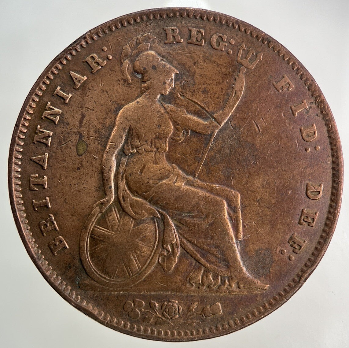 1854 Victoria One Penny Coin | Fine Collectable Grade