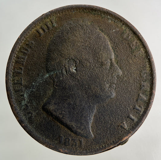 1831 William IV Half-Penny Coin | Collectable Grade