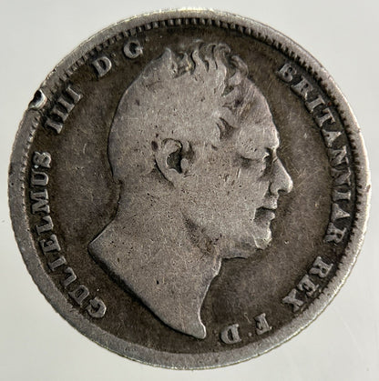 1834 William IV Sixpence Silver Coin | Collectable Grade