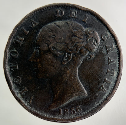 1856 Victoria Half-Penny Coin | Fine Collectable Grade