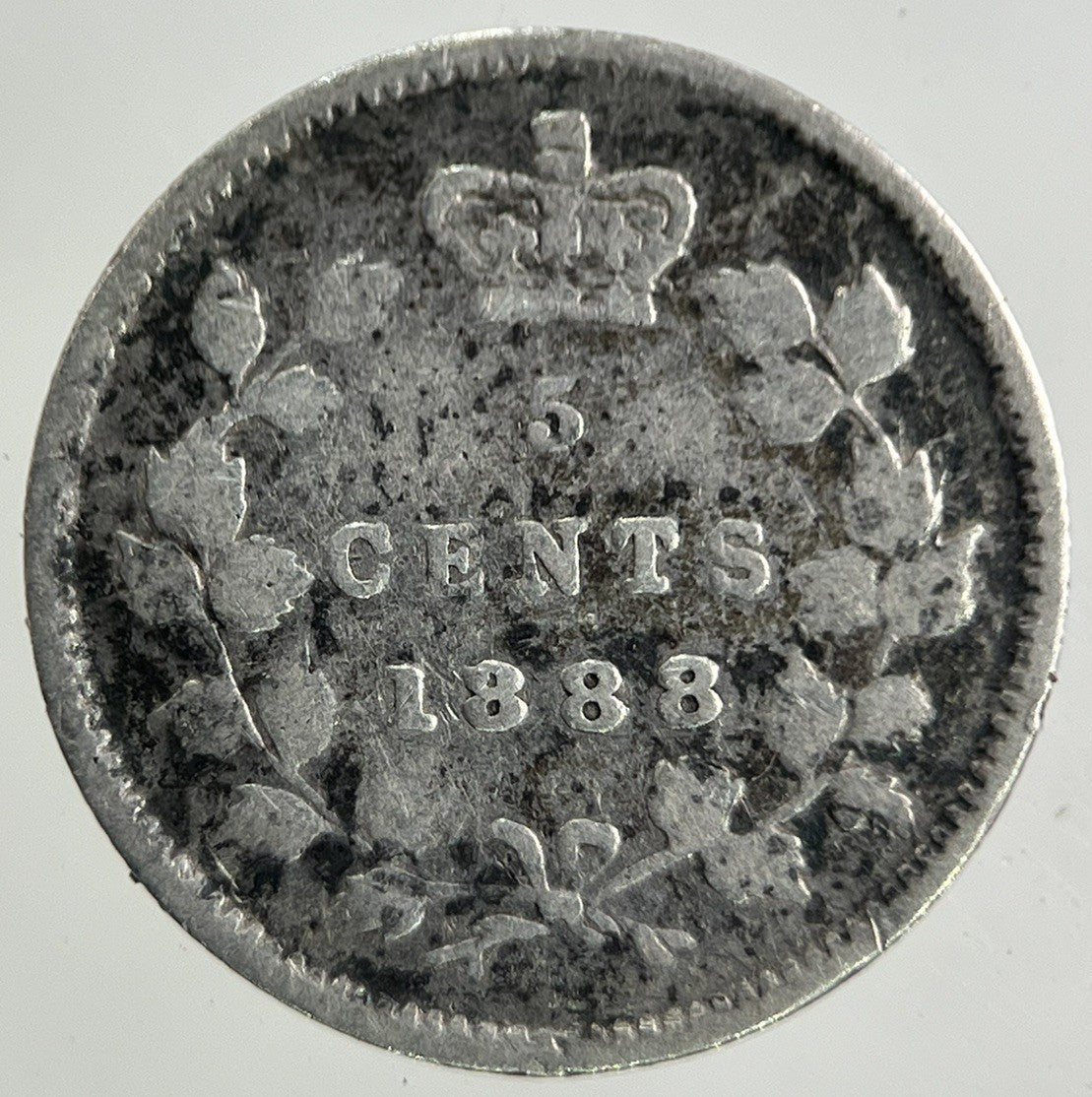 1888 Canada 5 Cents Silver Coin | Collectable Grade