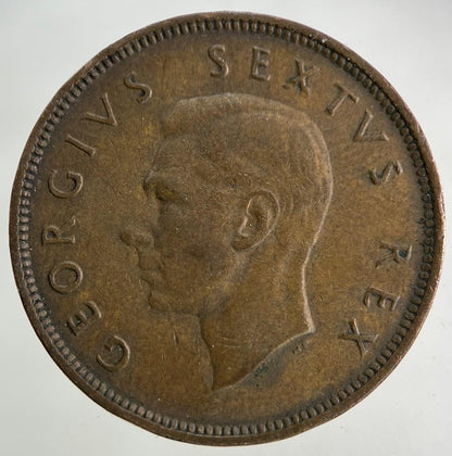 1951 South Africa Half-Penny Coin | Fine Collectable Grade