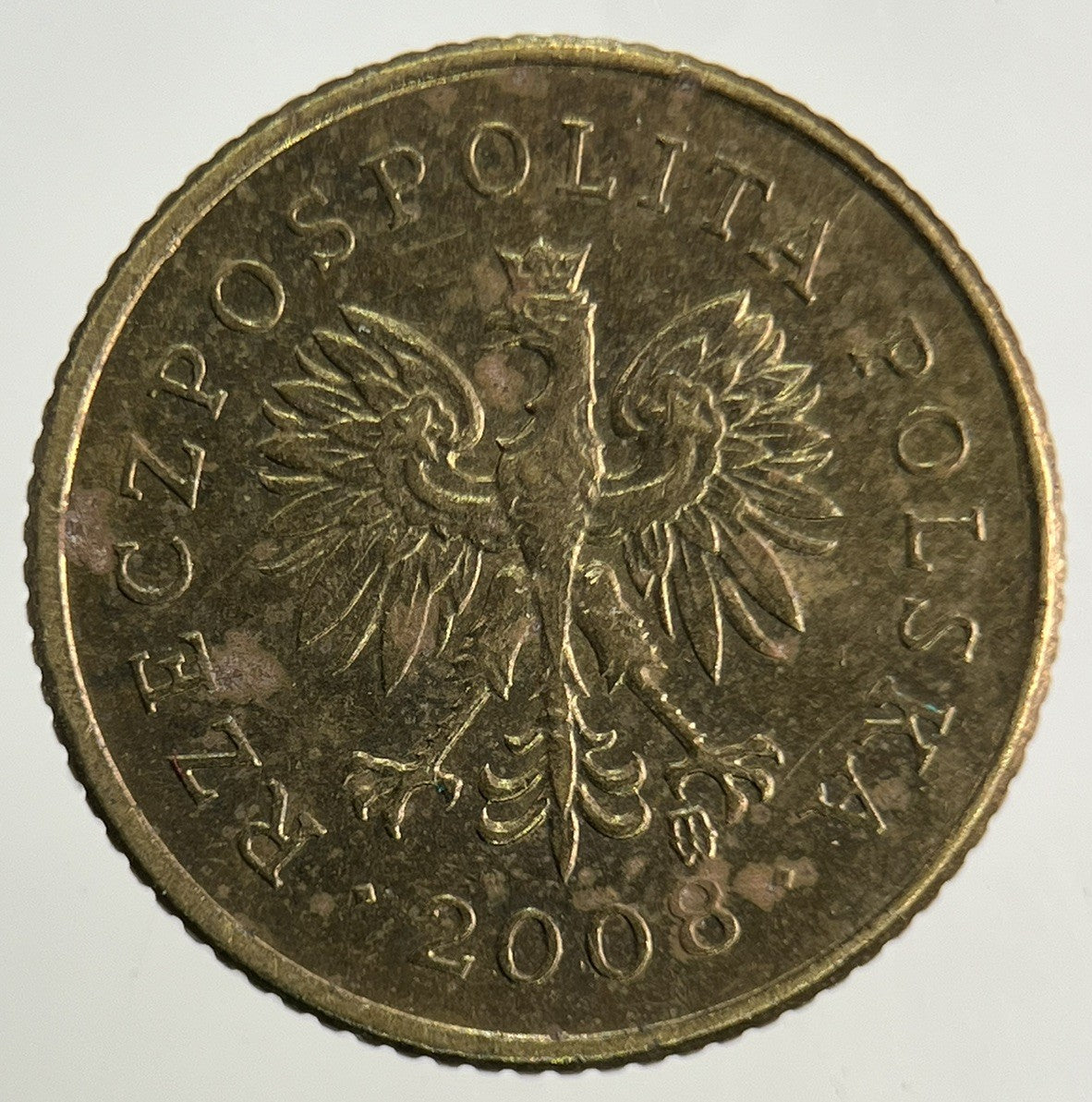 2008 Poland 1 Grosz Groszy Coin | Fine Collectable Grade