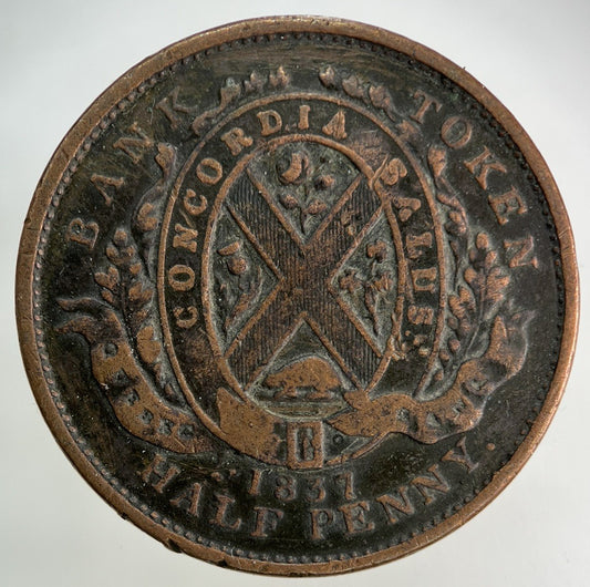 1837 Canada Bank Token Half-Penny Coin | Fine Collectable Grade