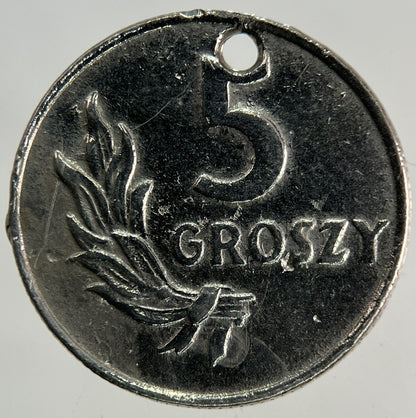 1949 Poland 5 Groszy Coin | Collectable Grade