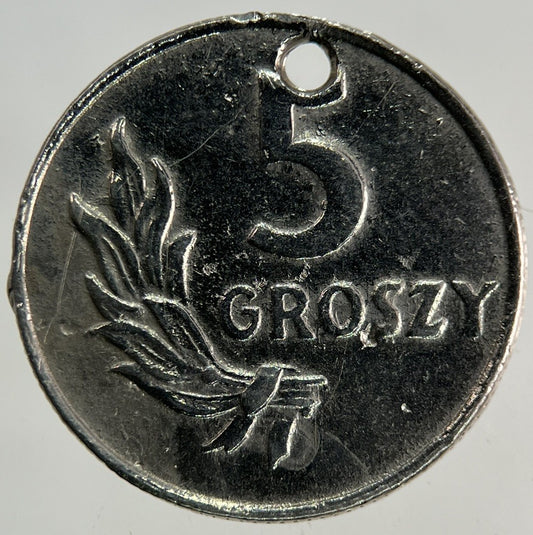 1949 Poland 5 Groszy Coin | Collectable Grade