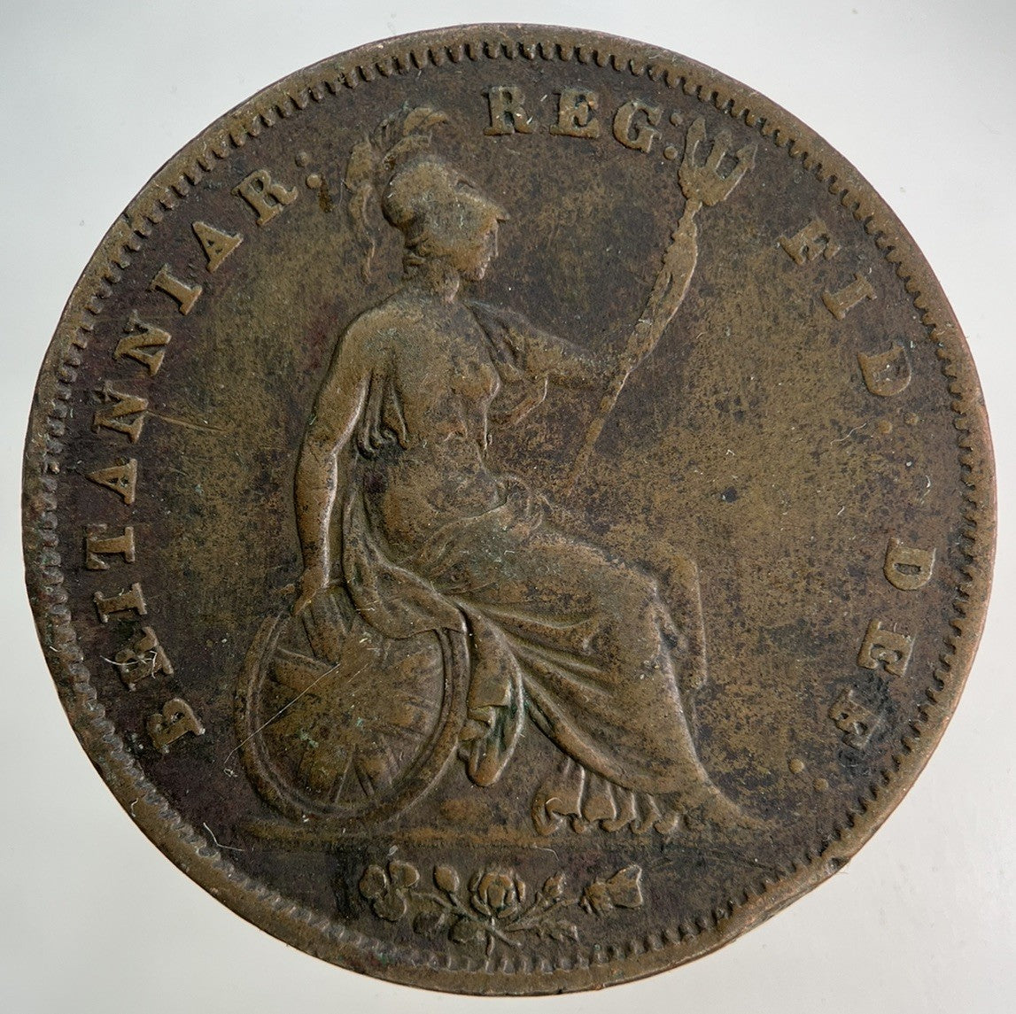 1855 Victoria One Penny Coin | Fine Collectable Grade