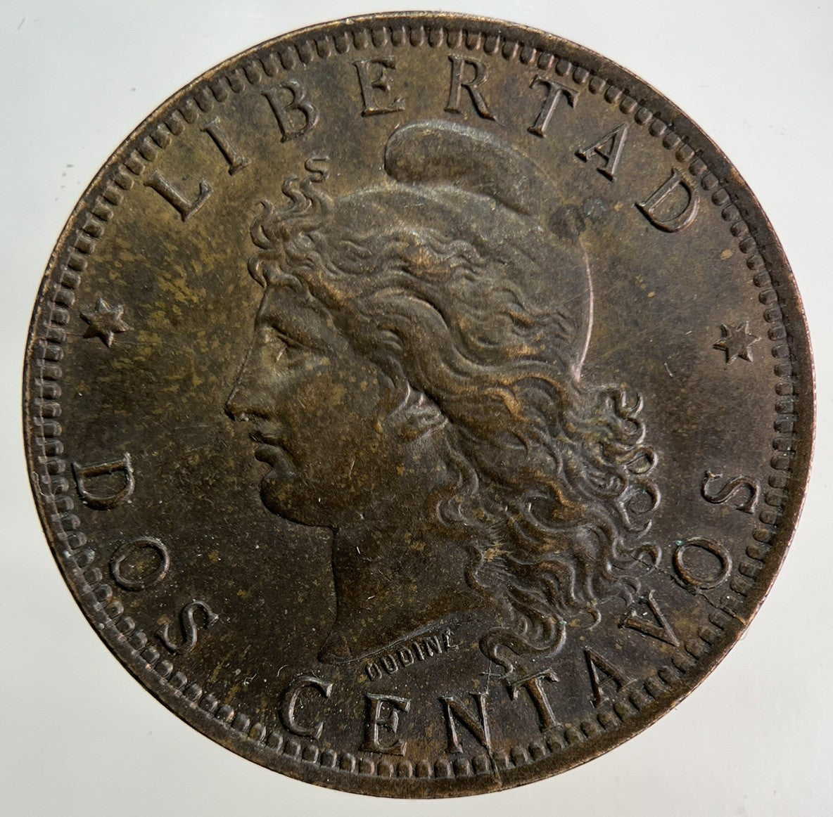 1891 Argentina 2 Dos Centavos Coin | Very High Grade