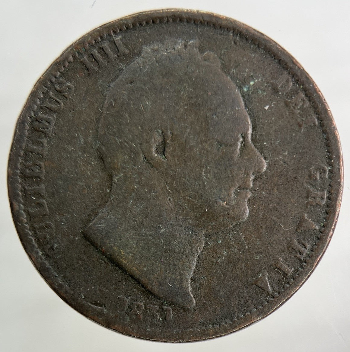1831 William IV Half-Penny Coin | Fair Grade
