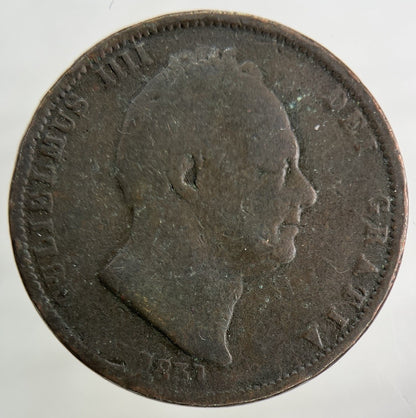 1831 William IV Half-Penny Coin | Fair Grade