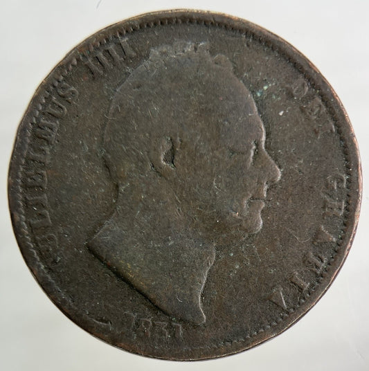 1831 William IV Half-Penny Coin | Fair Grade