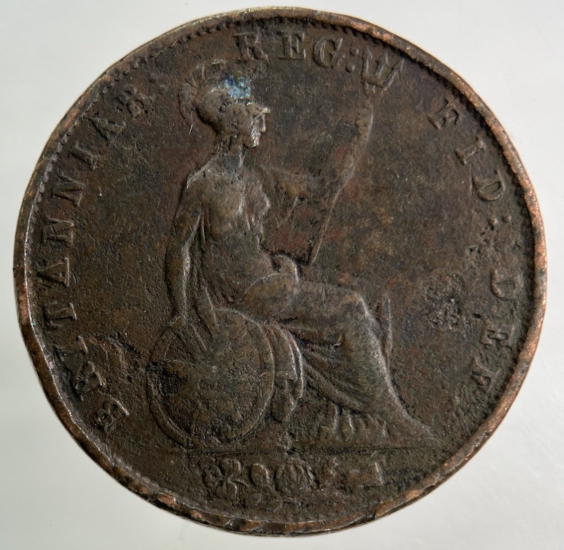 1855 Victoria Half-Penny Coin | Collectable Grade