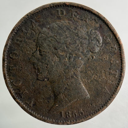 1855 Victoria Half-Penny Coin | Collectable Grade