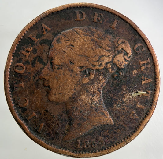 1853 Victoria Half-Penny Coin | Collectable Grade